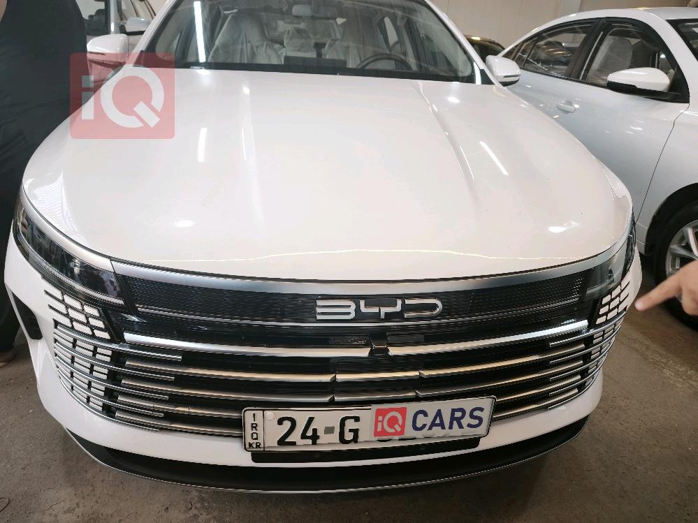 BYD Destroyer 05